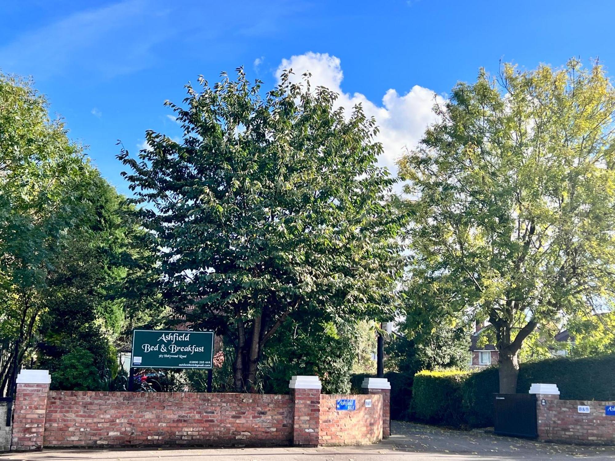 Ashfield Bed & Breakfast 벨파스트 외부 사진