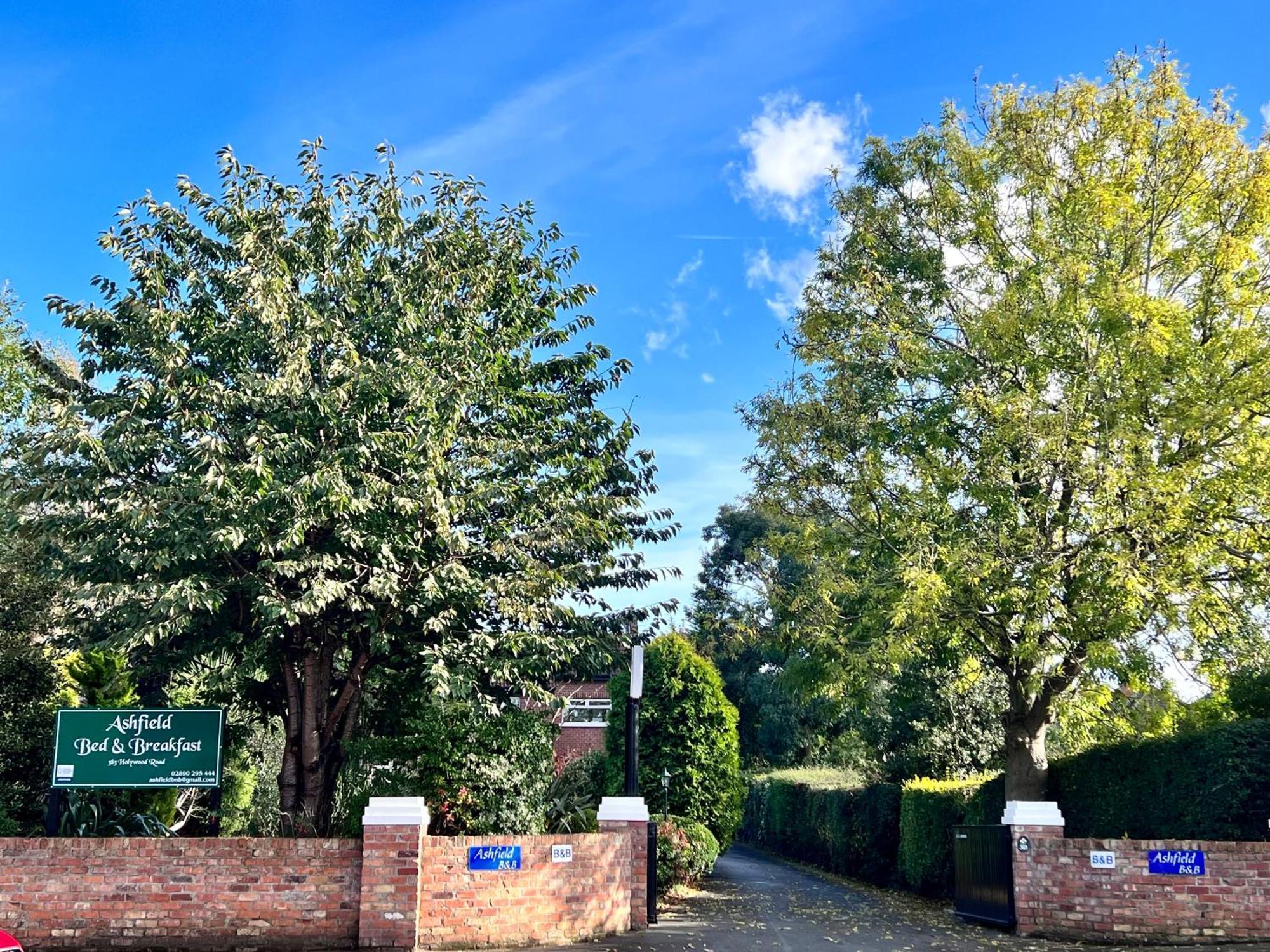 Ashfield Bed & Breakfast 벨파스트 외부 사진